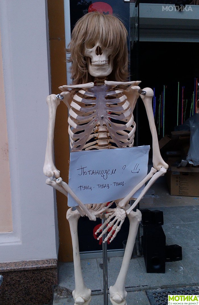 skeleti (17)