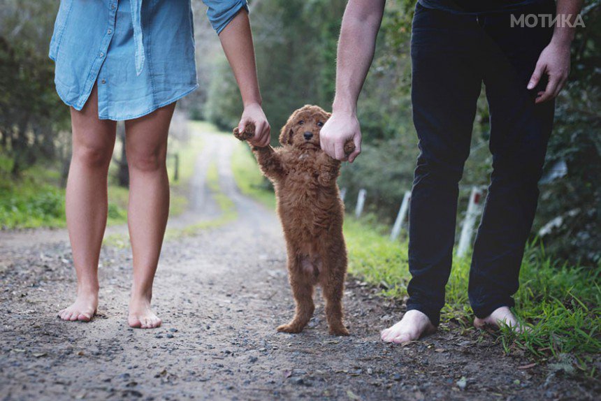 couple-newborn-dog-elisha-minnette-photography-12