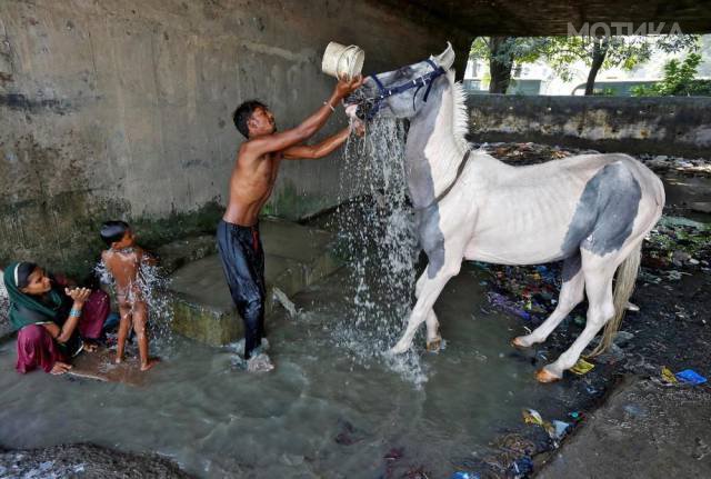 photos_depicting_everyday_life_in_india_640_01