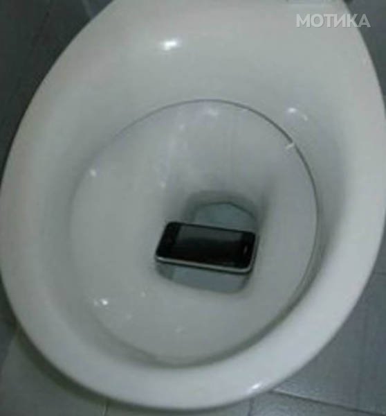 toilets_humor_07