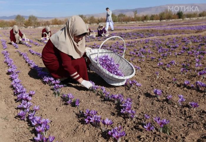 life_in_afghanistan_07