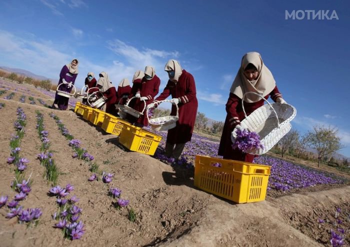 life_in_afghanistan_09